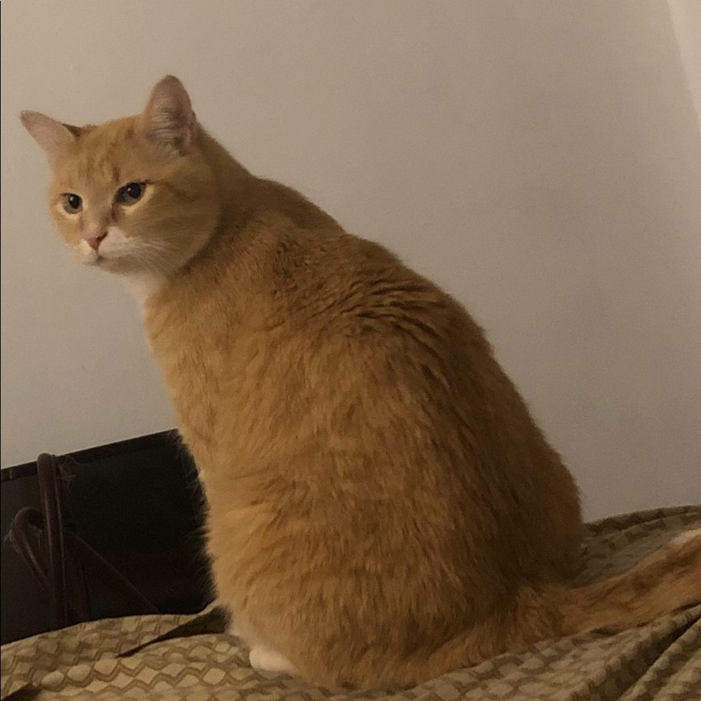 Meet your Posher, Sweetie